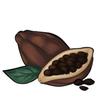 Cocoa Beans