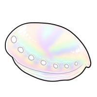 Pearlescent Abalone