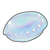 Opalescent Abalone